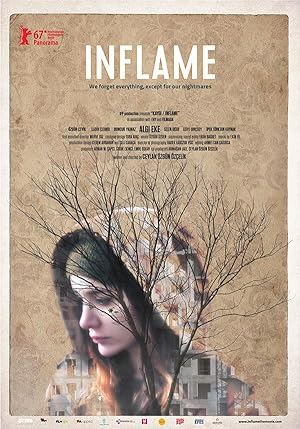 Cover image of the movie Inflame (2017)