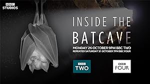 Cover image of the movie Inside the Bat Cave (2020)