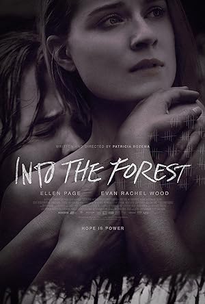 Cover image of the movie Into the Forest (2015)