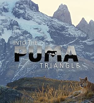 Cover image of the movie Into the Puma Triangle (2020)