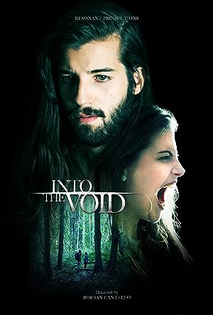 Cover image of the movie Into the Void (2019)