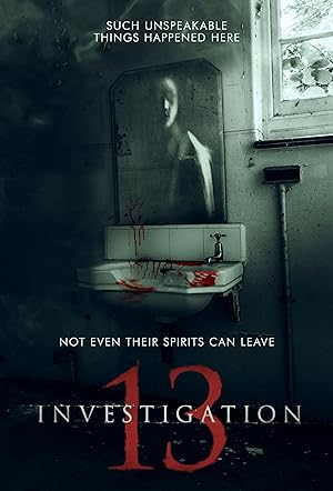 Cover image of the movie Investigation 13 (2019)