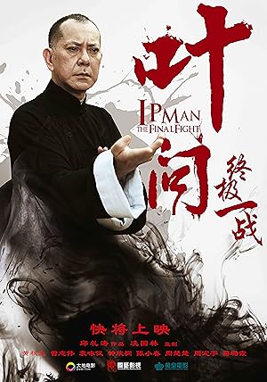Cover image of the movie Ip Man: The Final Fight (2013)