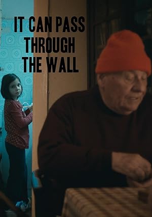 Cover image of the movie It Can Pass Through the Wall (2014)