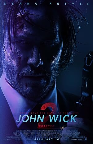 Cover image of the movie John Wick: Chapter 2 (2017)