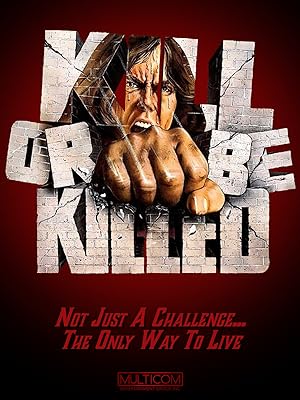 Cover image of the movie Karate Killer (1976)