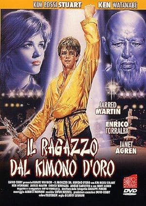 Cover image of the movie Karate Warrior (1987)