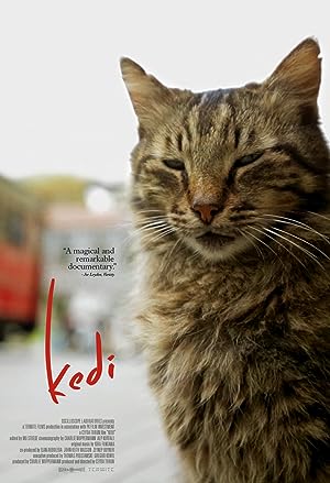 Cover image of the movie Kedi (2016)