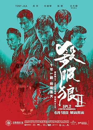 Cover image of the movie Kill Zone 2 (2015)