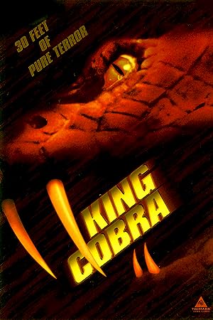 Cover image of the movie King Cobra (1999)