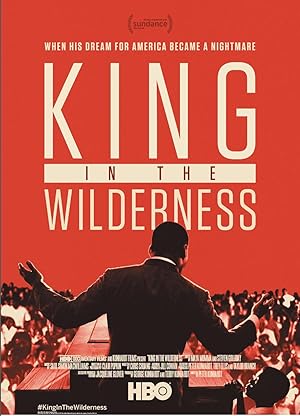 Cover image of the movie King In The Wilderness (2018)