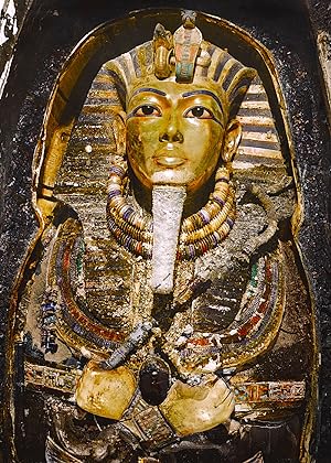 Cover image of the movie King Tut in Color (2020)