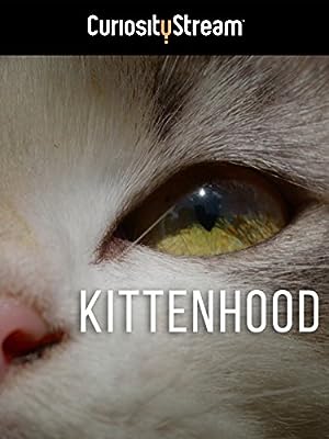 Cover image of the movie Kittenhood (2015)