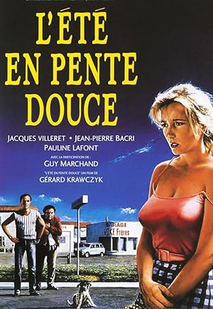 Cover image of the movie L'été en pente douce (1987)