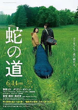 Cover image of the movie Le chemin du serpent (2024)