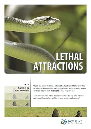 Cover image of the movie Lethal Attractions (2014)