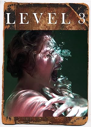 Cover image of the movie Level 3 (2020)