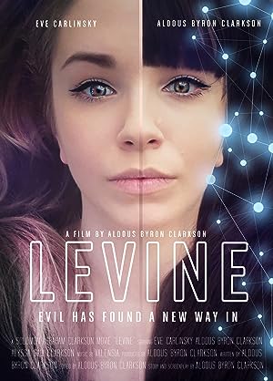 Cover image of the movie Levine (2017)