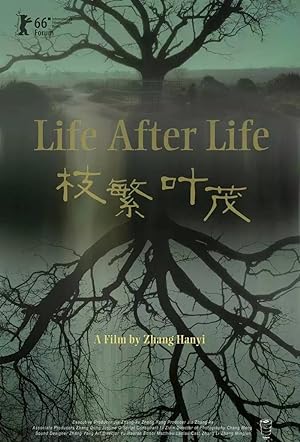 Cover image of the movie Life After Life (2016)
