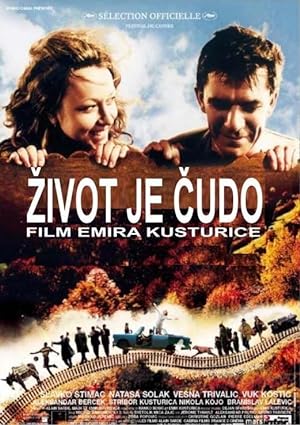 Cover image of the movie Life Is a Miracle (2004)