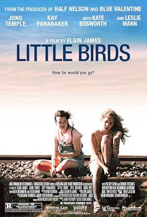 Cover image of the movie Little Birds (2011)