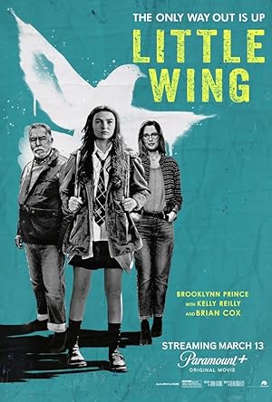 Cover image of the movie Little Wing (2024)