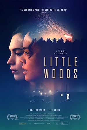 Cover image of the movie Little Woods (2018)