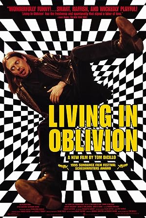 Cover image of the movie Living in Oblivion (1995)