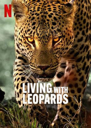 Cover image of the movie Living with Leopards (2024)