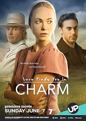 Cover image of the movie Love Finds You in Charm (2015)