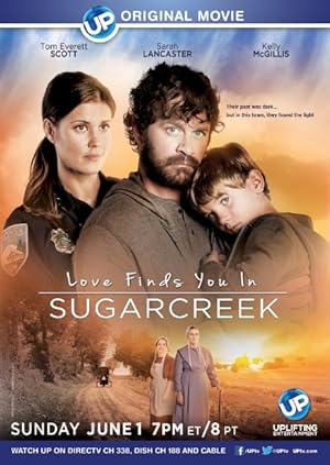 Cover image of the movie Love Finds You in Sugarcreek (2014)