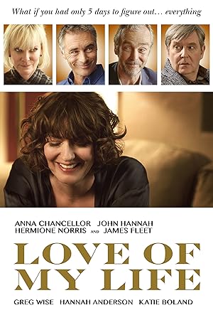 Cover image of the movie Love of My Life (2017)