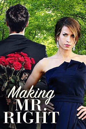 Cover image of the movie Making Mr. Right (2008)