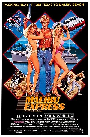 Cover image of the movie Malibu Express (1985)
