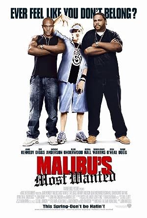 Cover image of the movie Malibu's Most Wanted (2003)