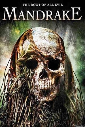 Cover image of the movie Mandrake (2010)