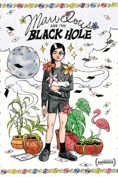 Cover image of the movie Marvelous and the Black Hole (2021)