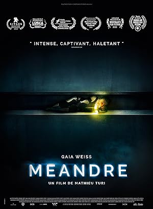 Cover image of the movie Meander (2020)