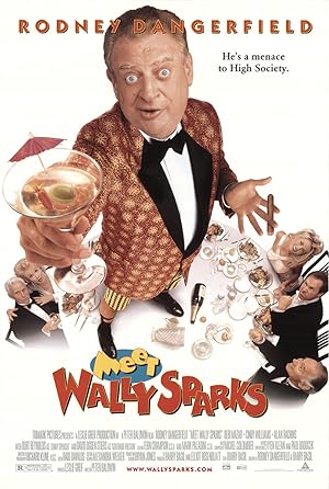 Cover image of the movie Meet Wally Sparks (1997)