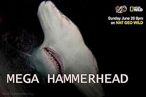 Cover image of the movie Mega Hammerhead (2016)