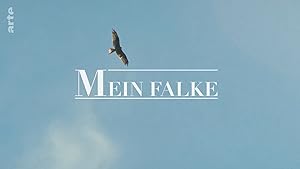 Cover image of the movie Mein Falke (2023)