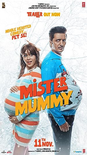 Cover image of the movie Mister Mummy (2022)