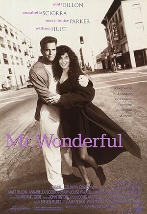 Cover image of the movie Mr. Wonderful (1993)