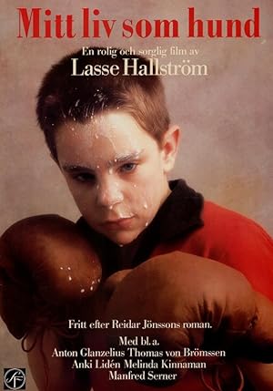 Cover image of the movie My Life as a Dog (1985)