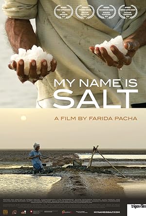 Cover image of the movie My Name Is Salt (2013)