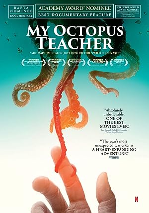 Cover image of the movie My Octopus Teacher (2020)