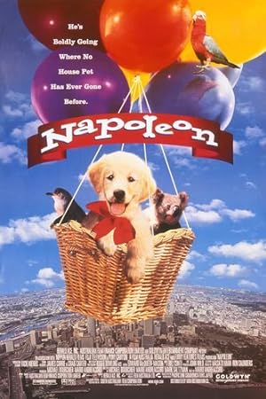 Cover image of the movie Napoleon (1995)