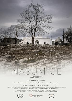 Cover image of the movie Nasumice (2018)