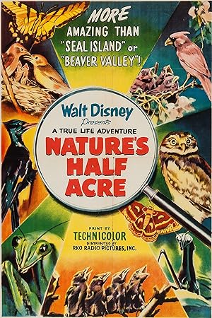 Cover image of the movie Nature's Half Acre (1951)