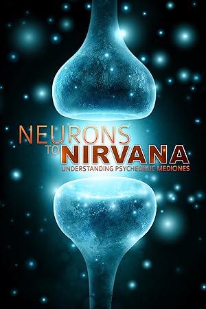 Cover image of the movie Neurons to Nirvana (2013)